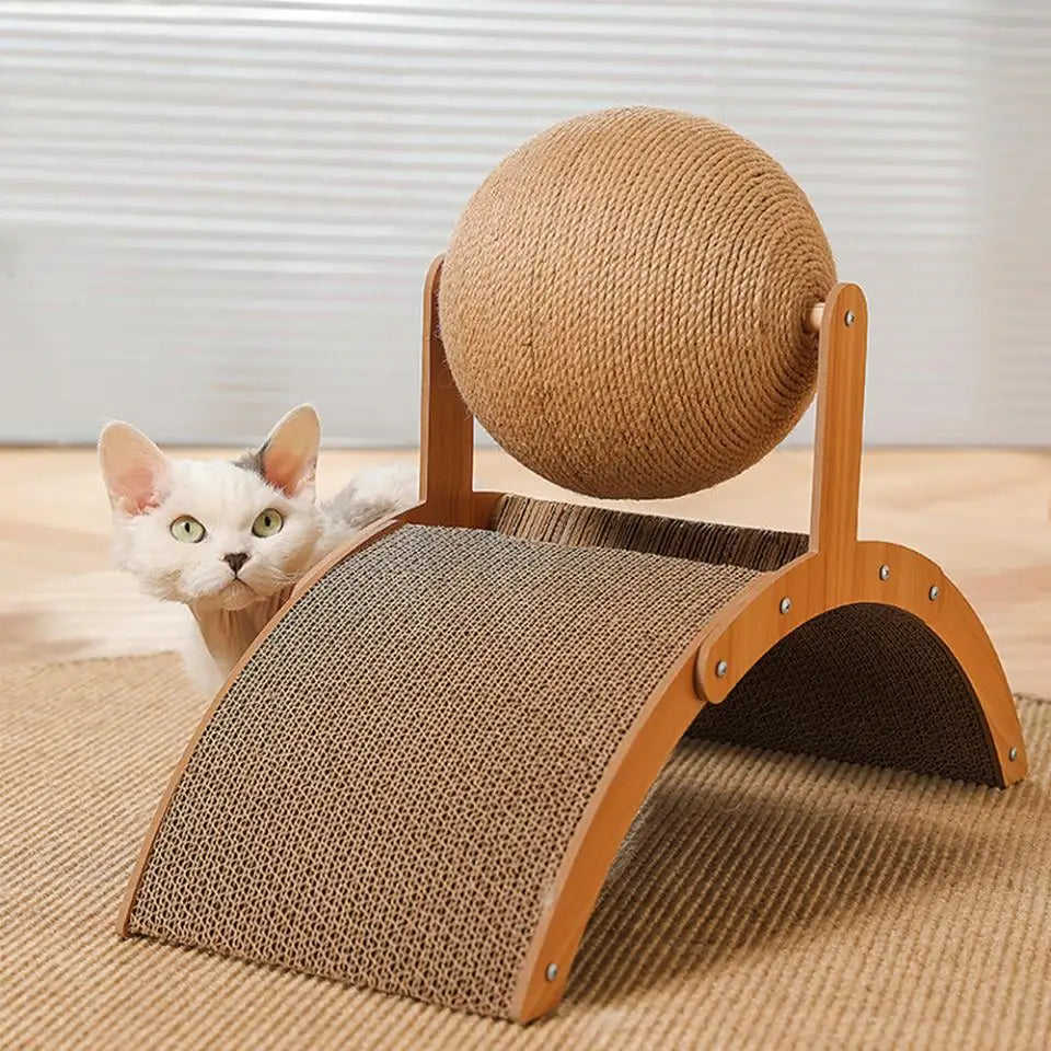 Cat Scratching Arch