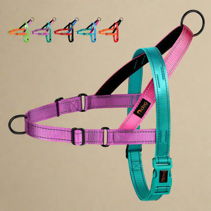 Multicolor No-Pull Dog Harness