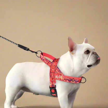 Tribal Print No-Pull Dog Harness