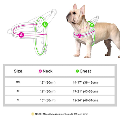 Soft Padded No-Pull Dog Harness