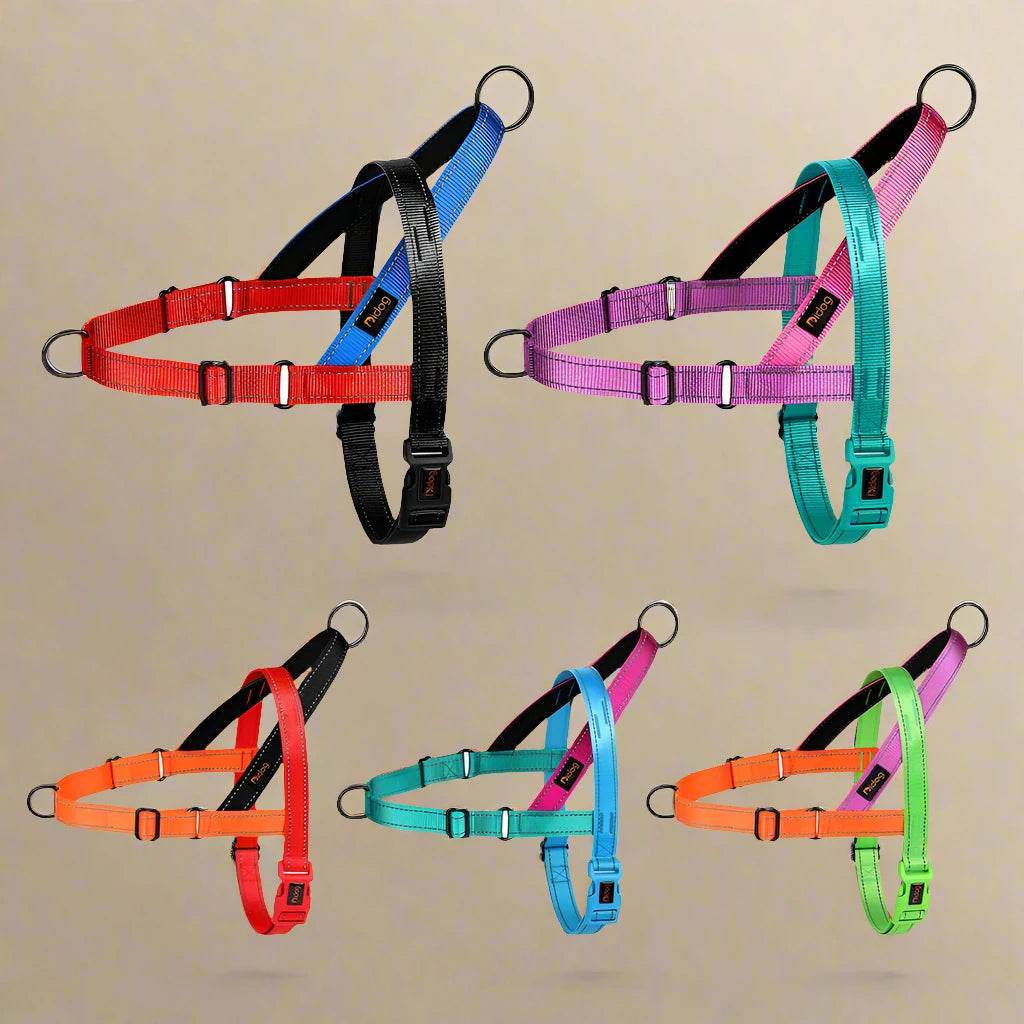 Multicolor No-Pull Dog Harness