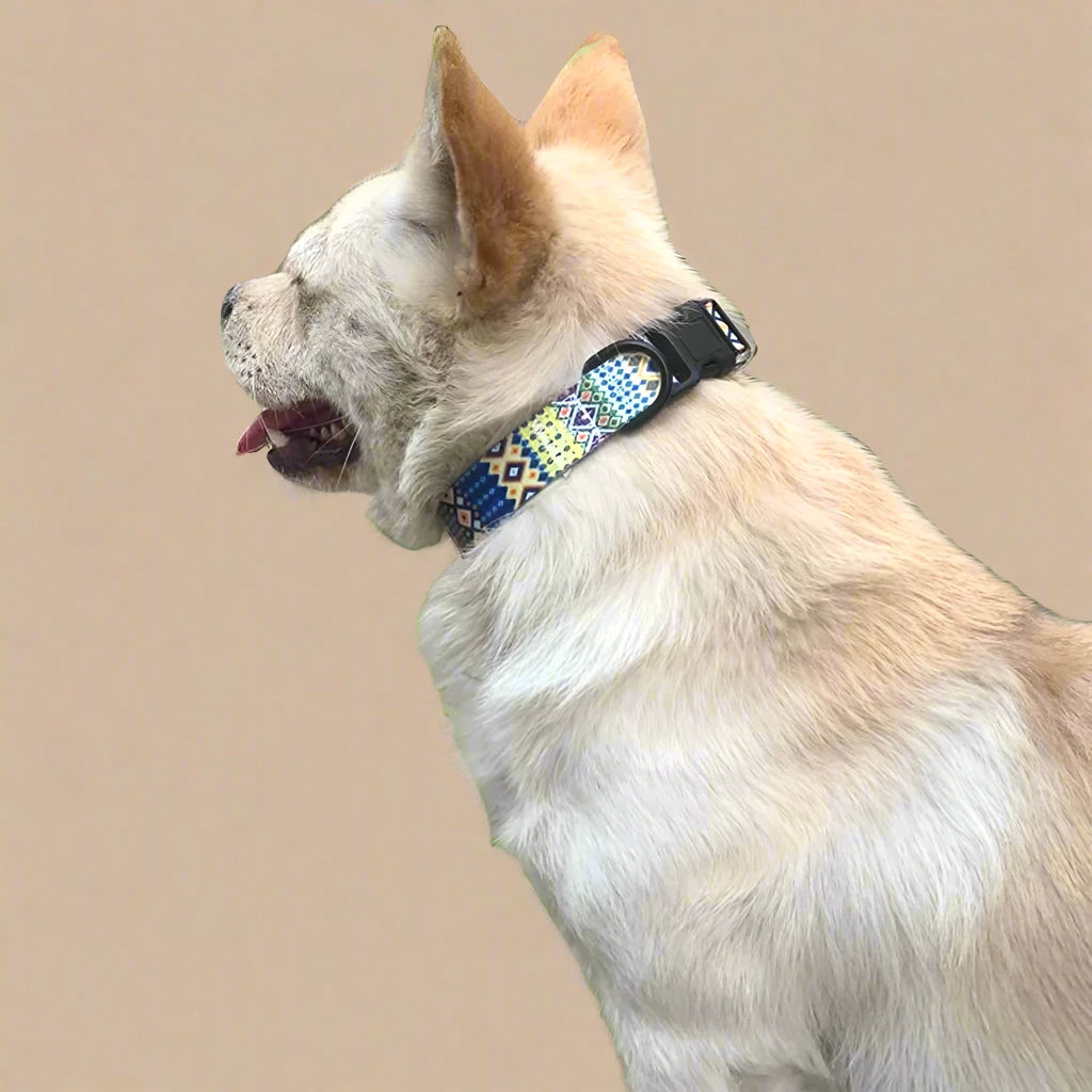 Patterned Nylon Dog Collar