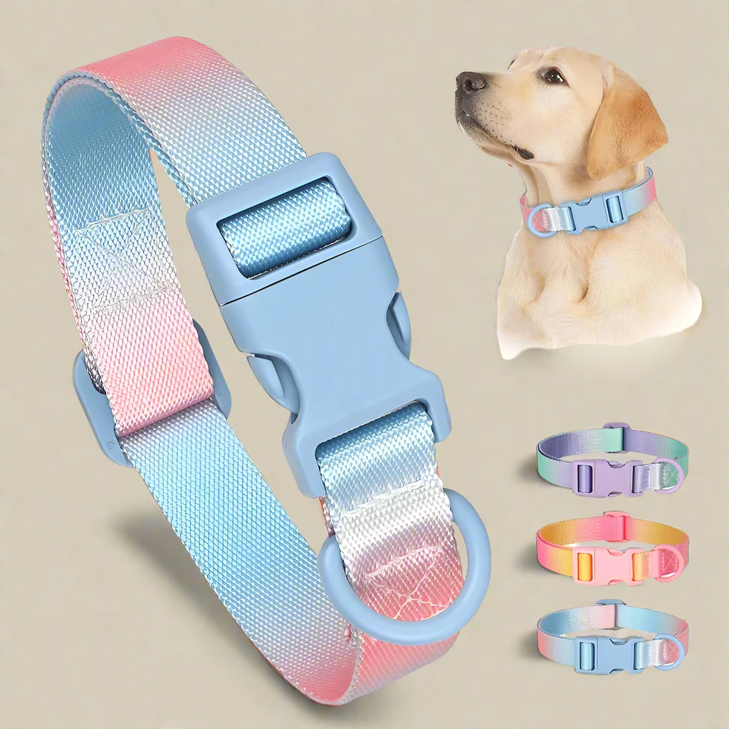 Candy Cloud Nylon Dog Collar