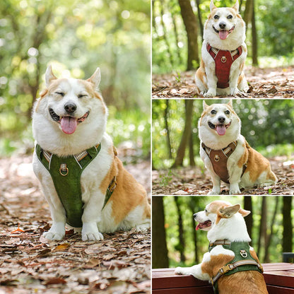 AirFlow Waterproof Dog Harness