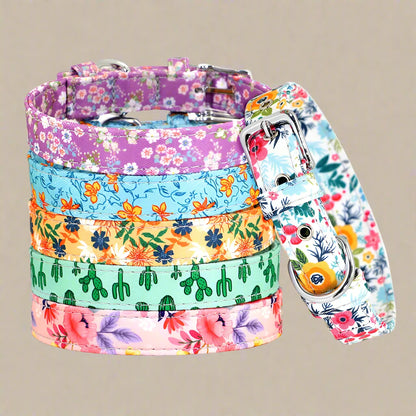 Patterned Nylon Dog Collar