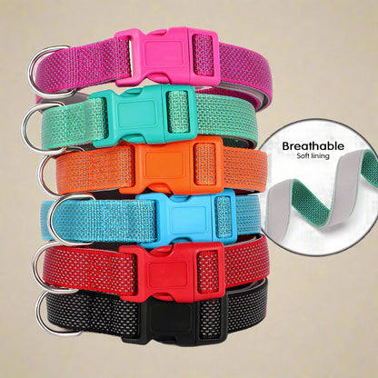 Reflective Nylon Dog Collar