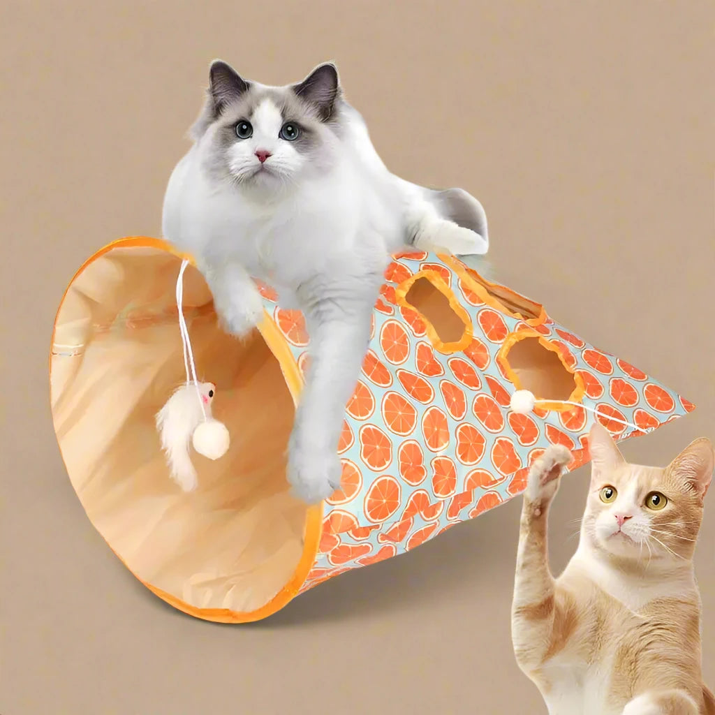 Magic Cat Tunnel Bag