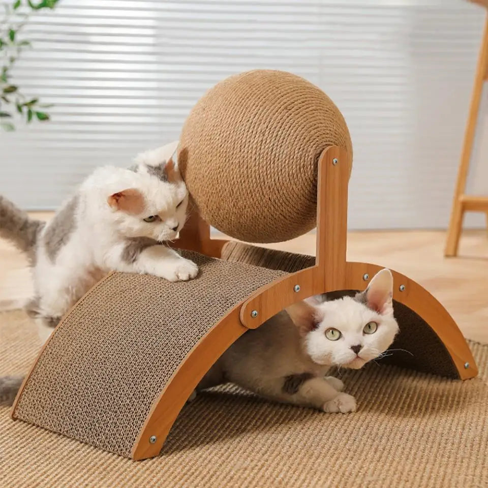 Cat Scratching Arch