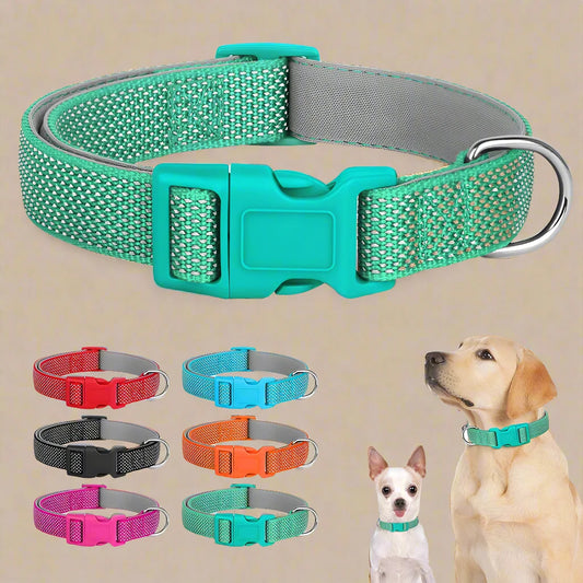 Reflective Nylon Dog Collar