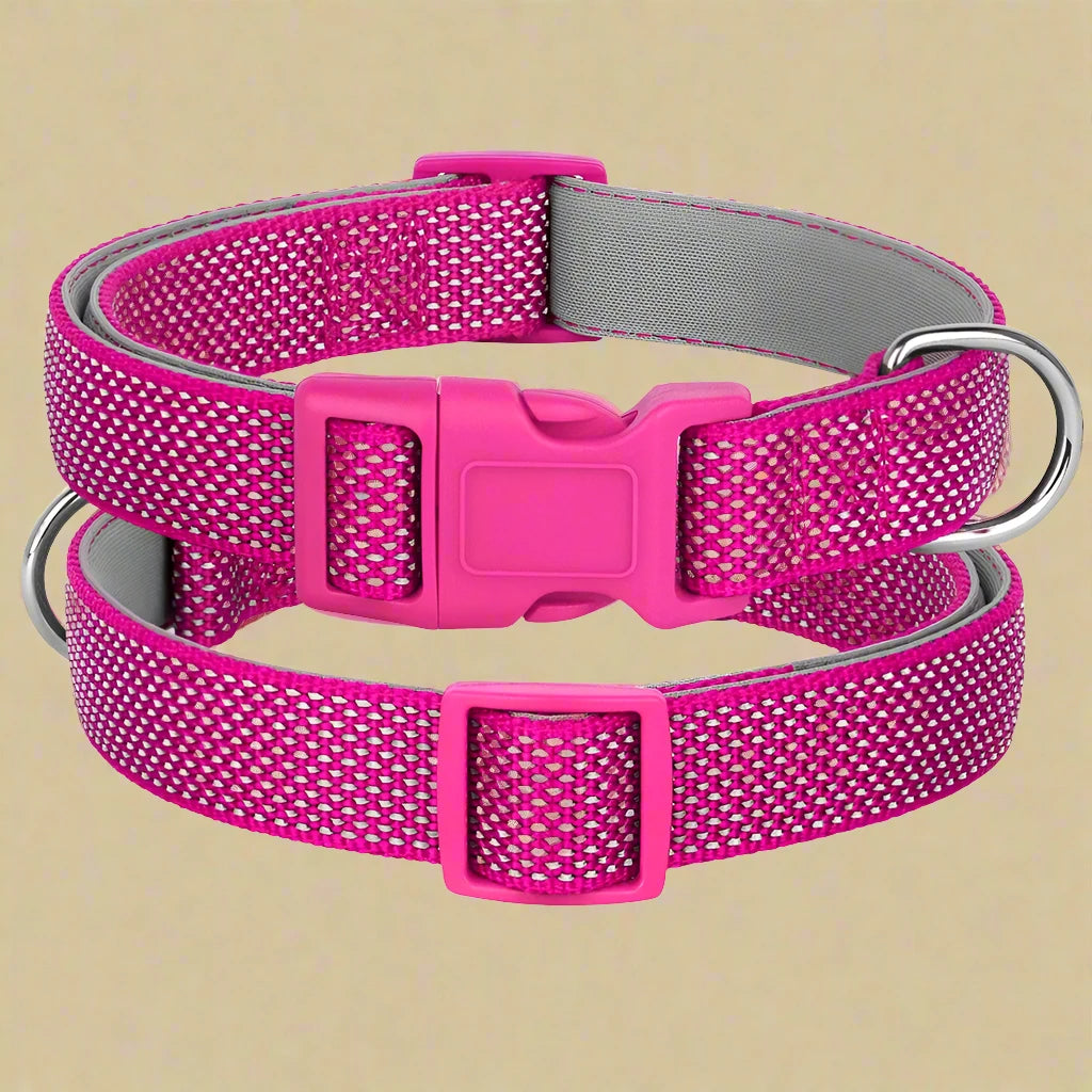 Reflective Nylon Dog Collar