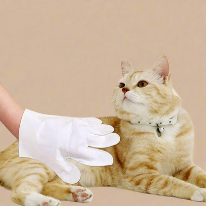 Disposable Pet Cleaning Gloves