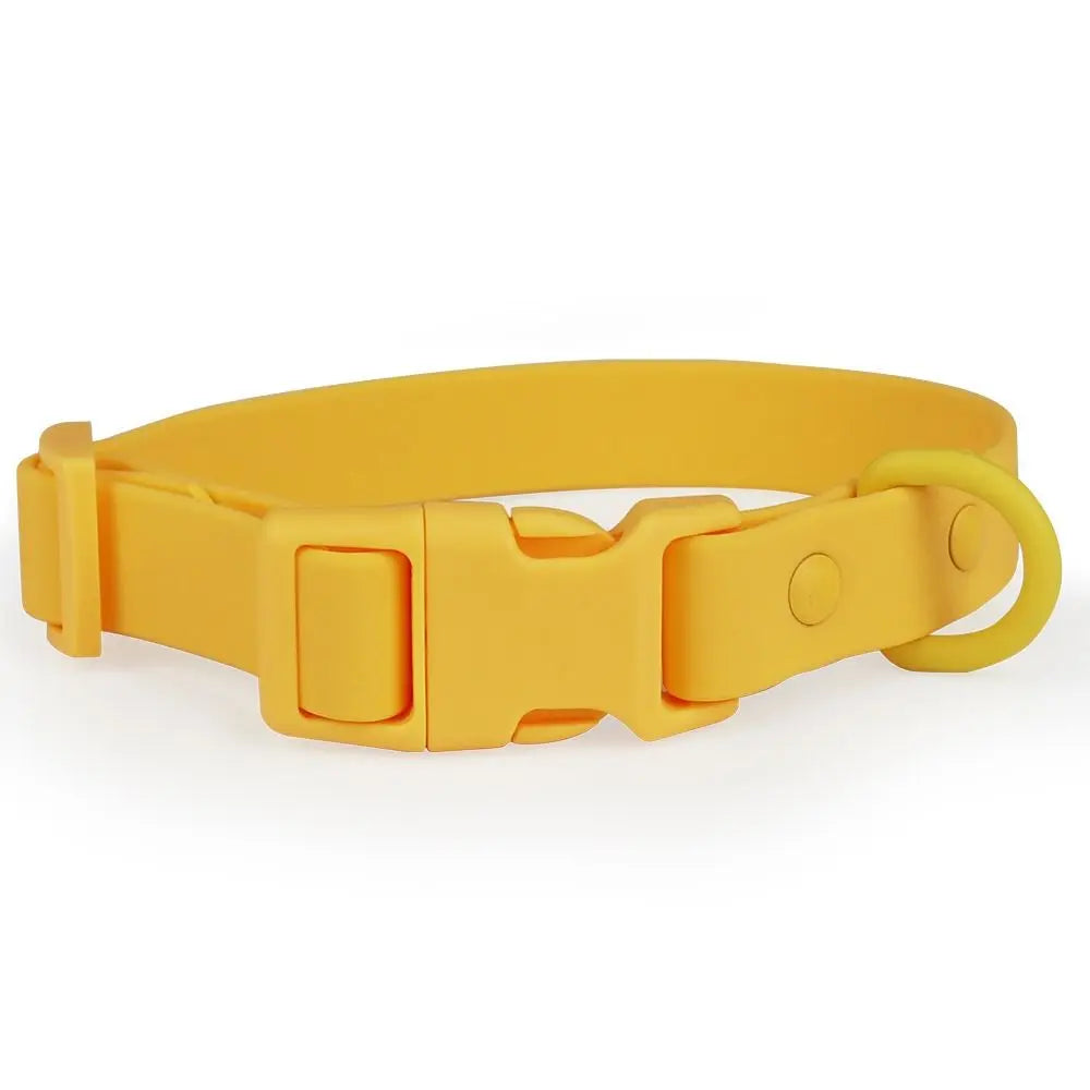 Solid Hue Active Dog Collar