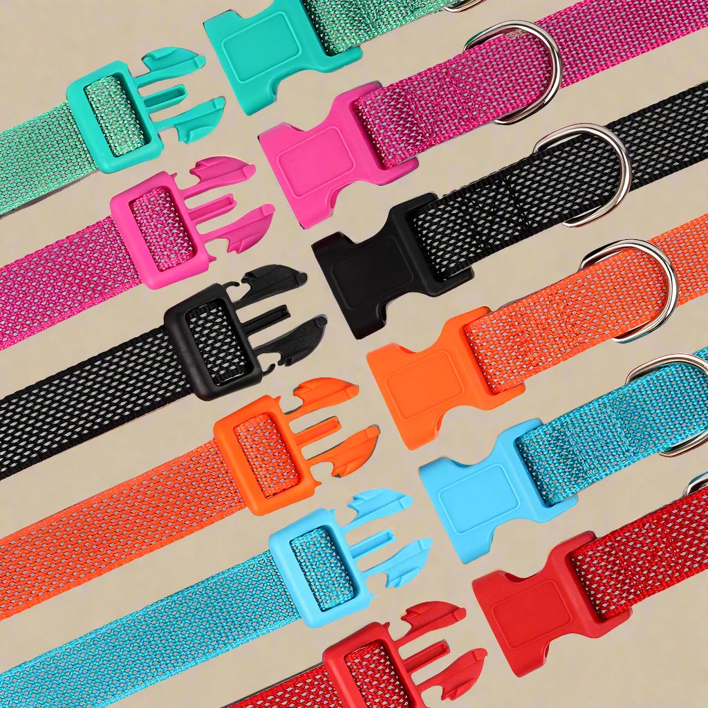 Reflective Nylon Dog Collar