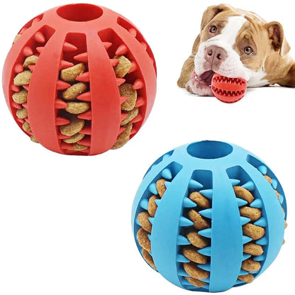 Rubber Teething Ball for Dogs