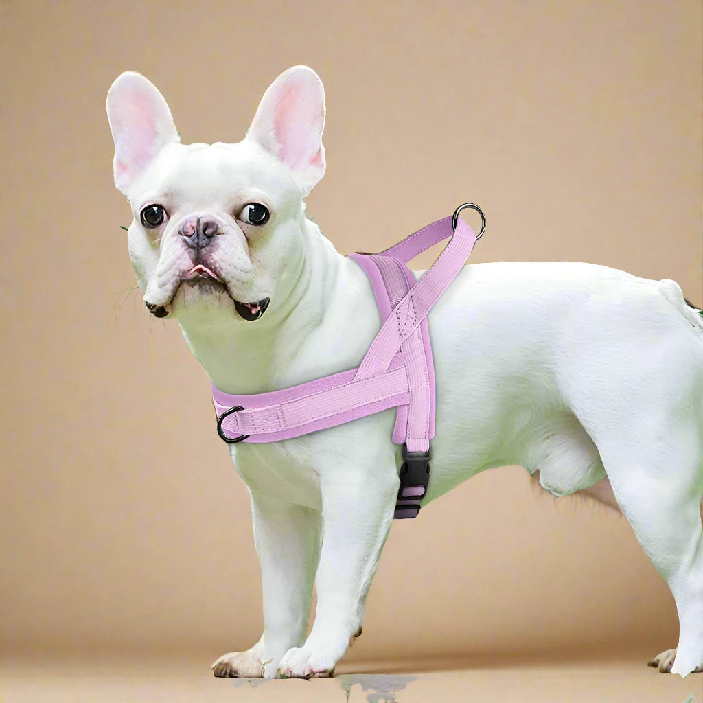 Soft Padded No-Pull Dog Harness