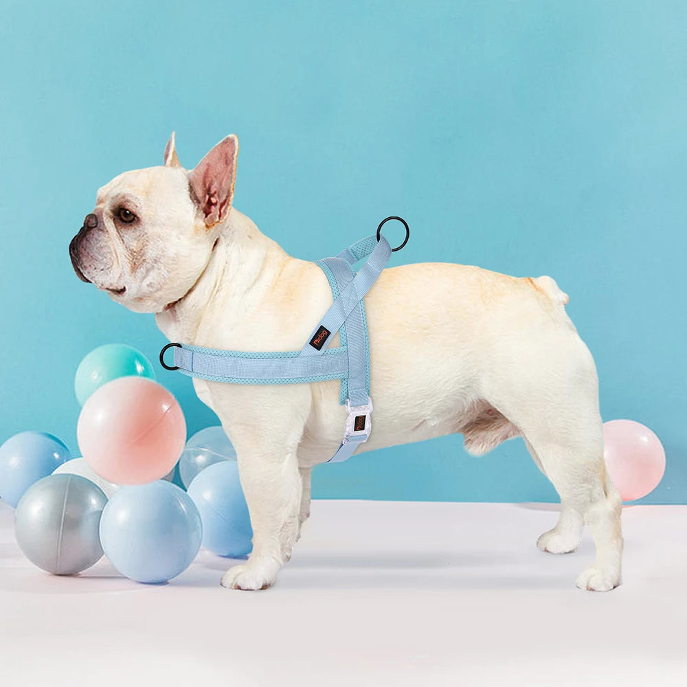 Candy Colored No-Pull Dog Harness