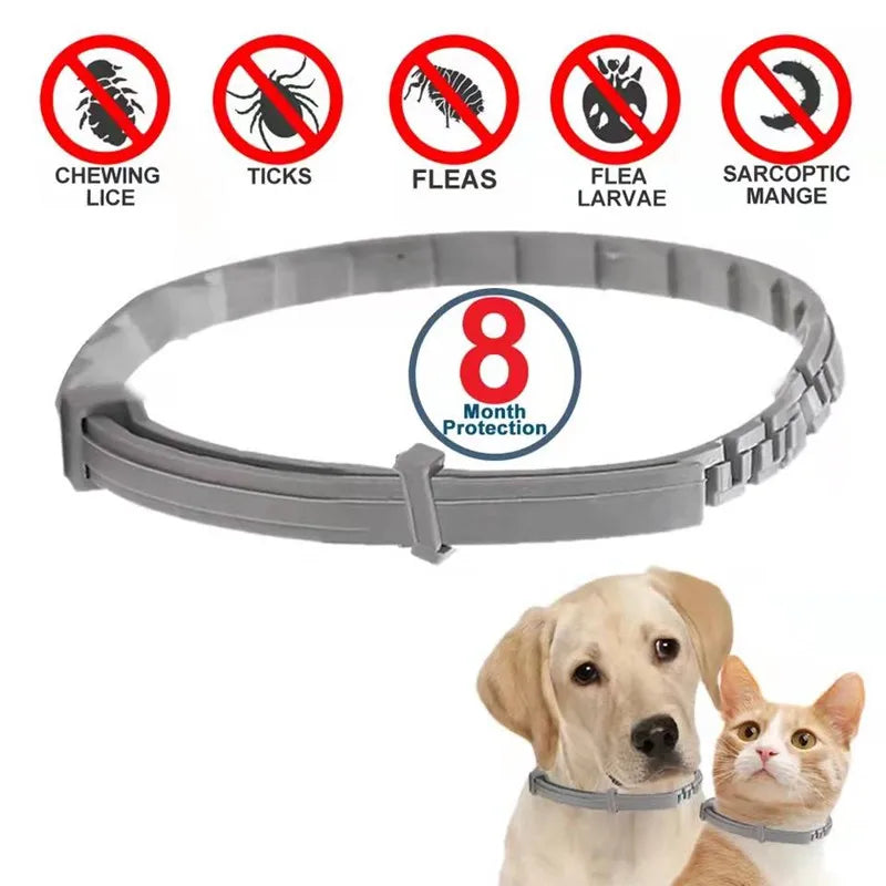 Flea Collar for Dogs & Cats