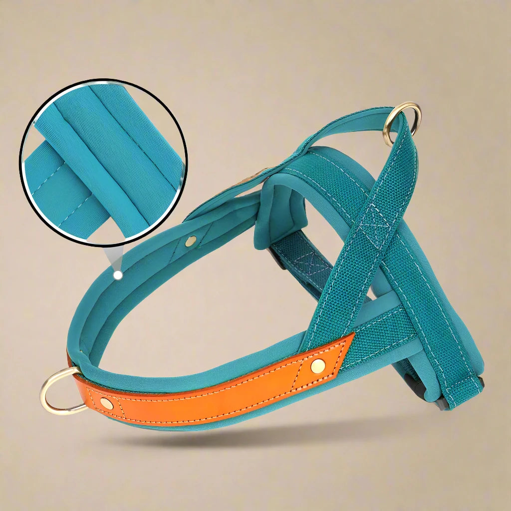 Dual Color Nylon No-Pull Dog Harness & Leash