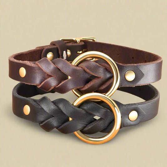 Genuine Leather Braided Dog Collar