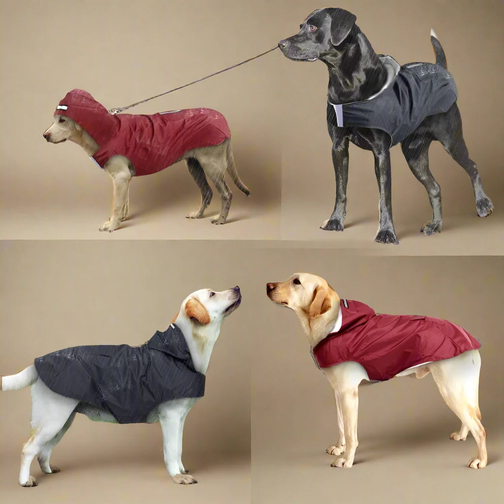 Dog Hoodie Raincoat