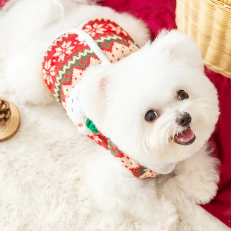 Frosty Christmas Bear Knit Sweater