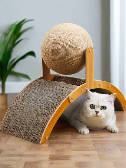 Cat Scratching Arch