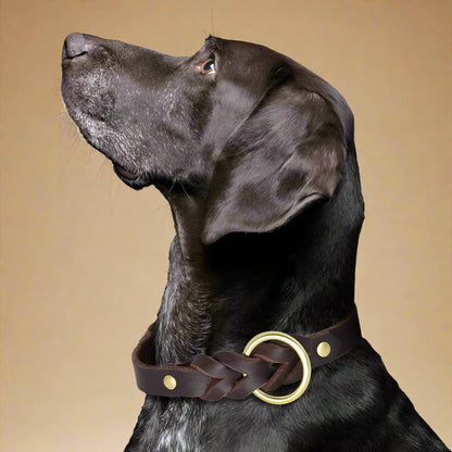 Genuine Leather Braided Dog Collar