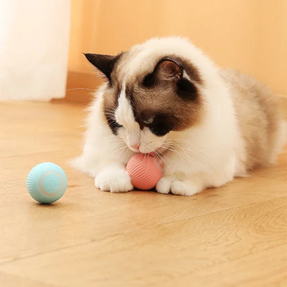 Electric Rolling Cat Ball