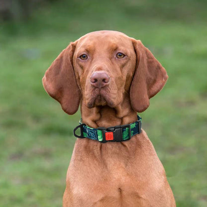 Patterned Nylon Dog Collar