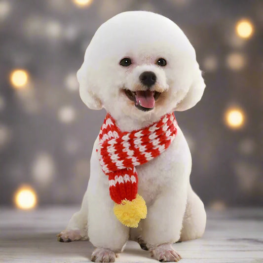 Christmas Vibes Knit Pet Scarf