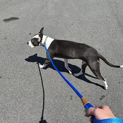 Slip Leash (P leash) for Dogs