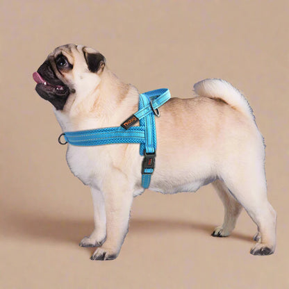 Reflective Nylon No-Pull Dog Harness