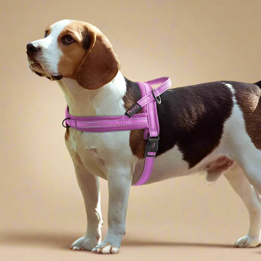 Reflective Nylon No-Pull Dog Harness