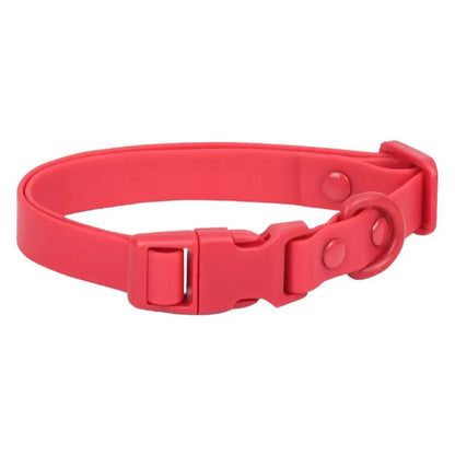 Solid Hue Active Dog Collar