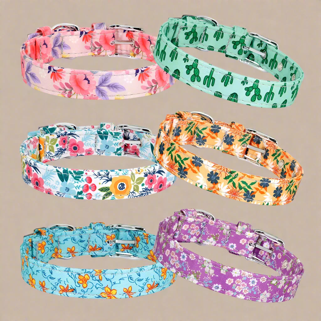 Patterned Nylon Dog Collar