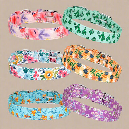 Patterned Nylon Dog Collar