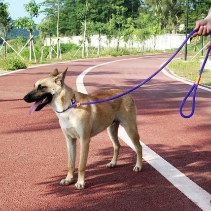 Slip Leash (P leash) for Dogs