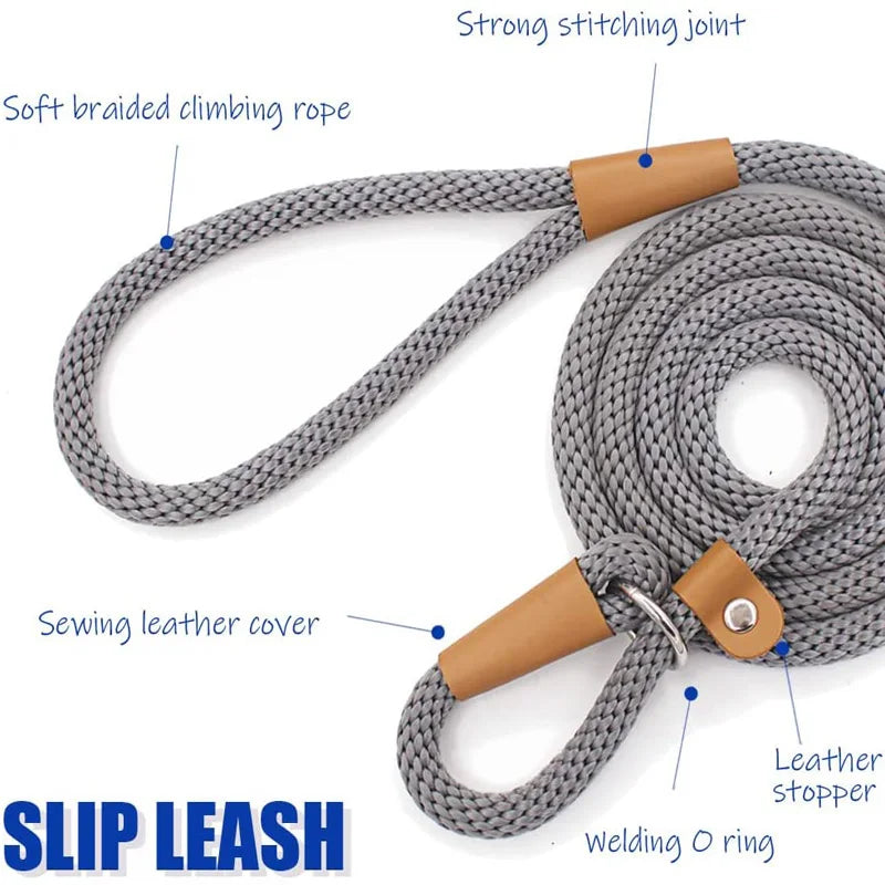 Slip Leash (P leash) for Dogs