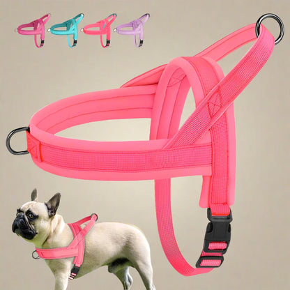 Soft Padded No-Pull Dog Harness