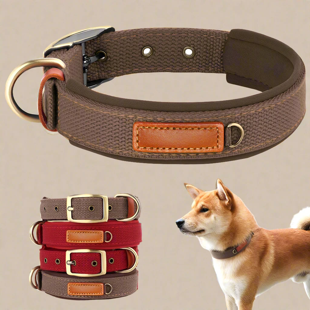 Durable Nylon Dog Collar