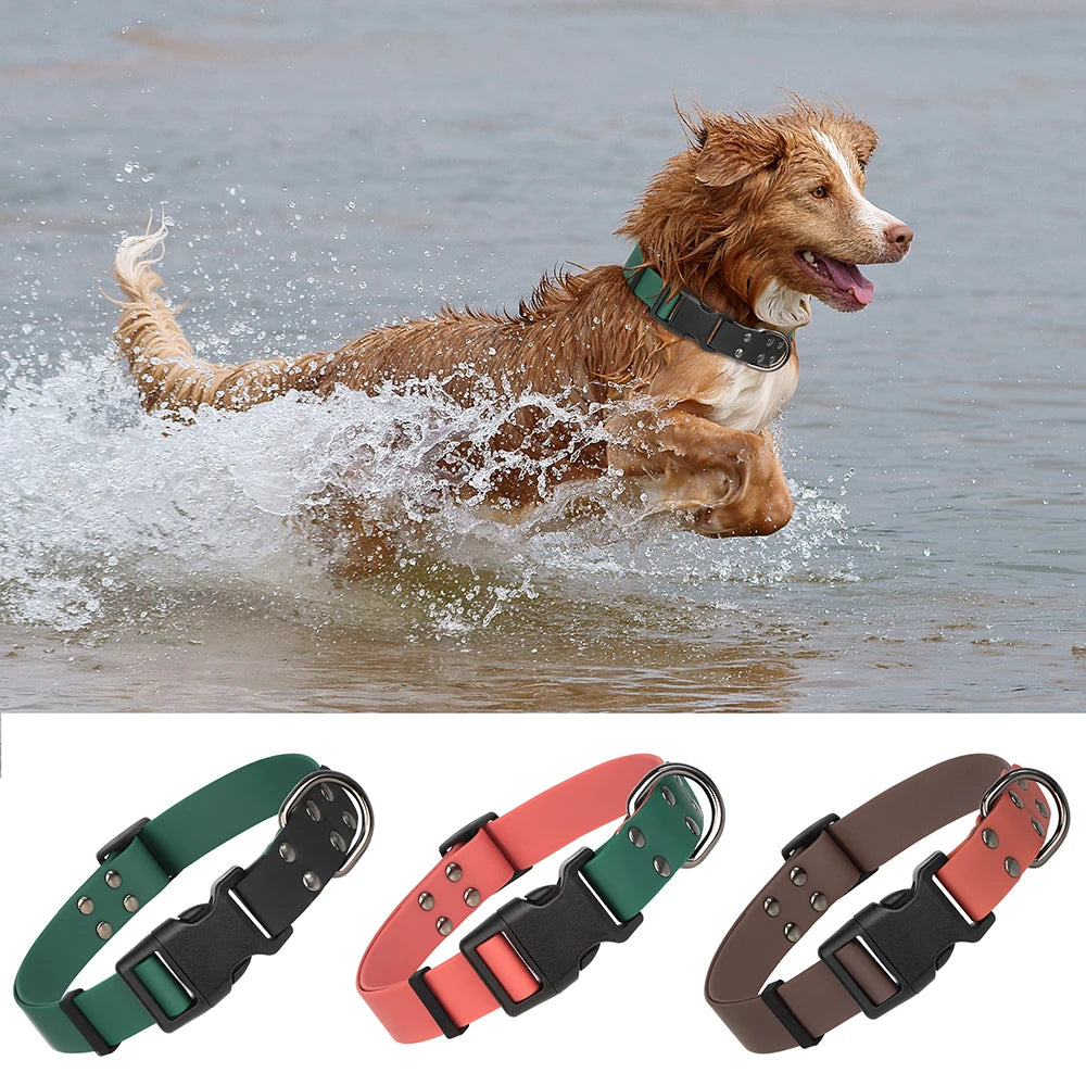 Dual-Tone Active Dog Collar