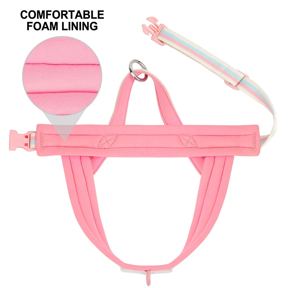 Bubblegum Stripe No-Pull Dog Harness