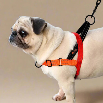 Multicolor No-Pull Dog Harness