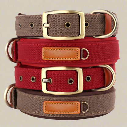 Durable Nylon Dog Collar