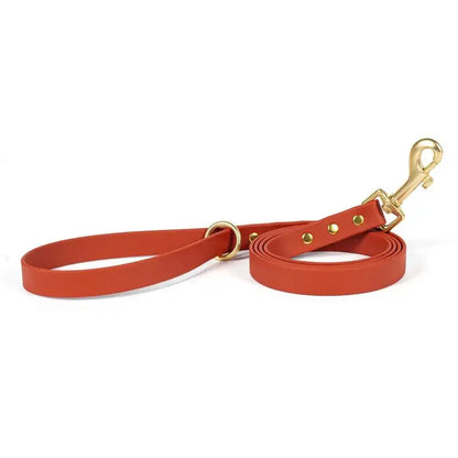 Solid Hue Active Dog Leash