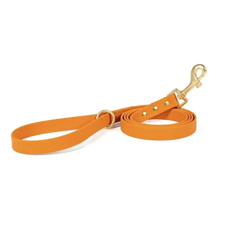 Solid Hue Active Dog Leash