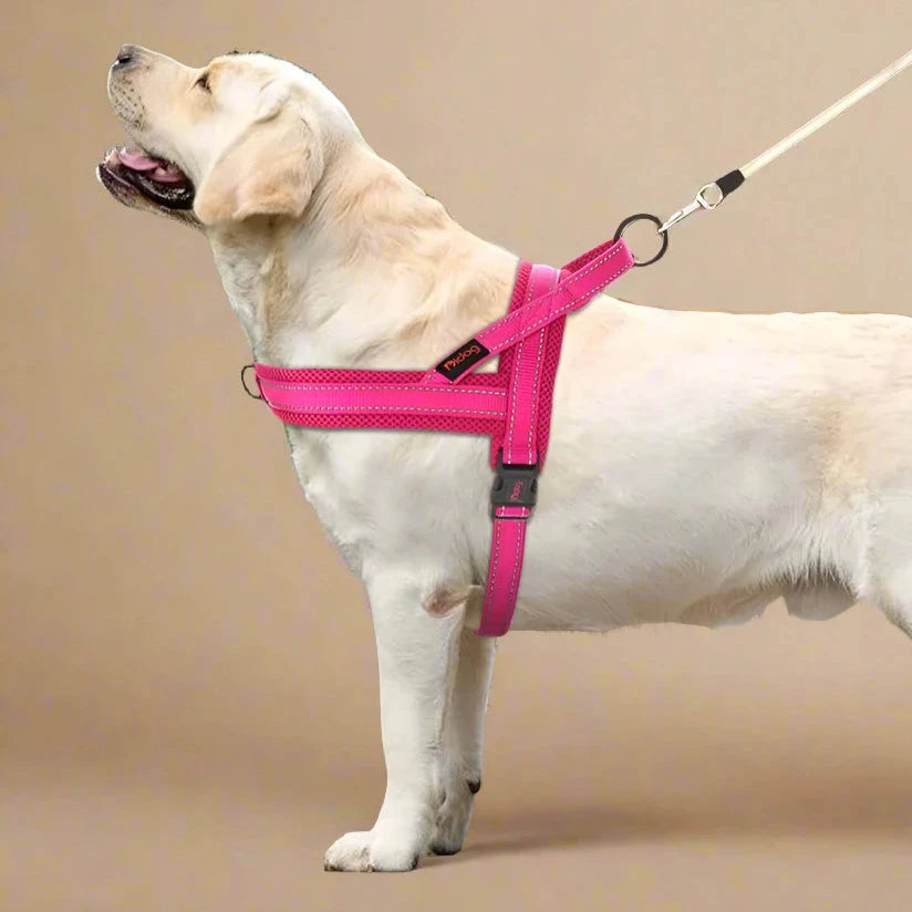 Reflective Nylon No-Pull Dog Harness