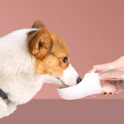 Portable Dog Water Bottle