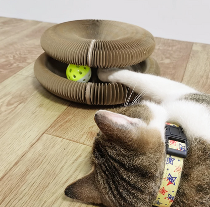 Cat Scratcher Magic Organ