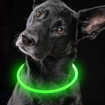 LED Dog Collar